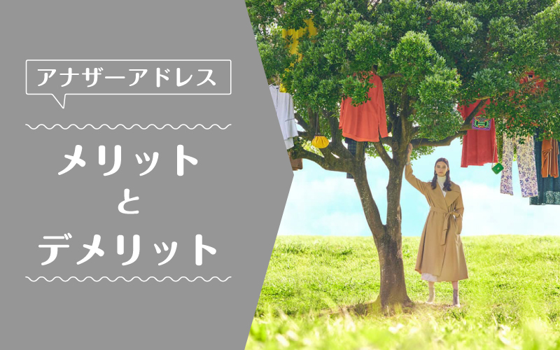 アナザーアドレス_メリットデメリット