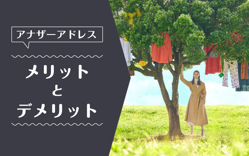 アナザーアドレス_メリットデメリット